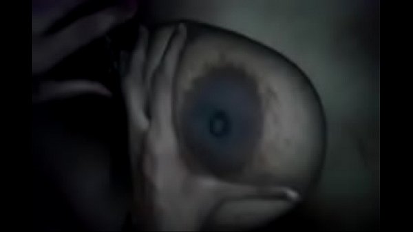 bokepindohd.pro